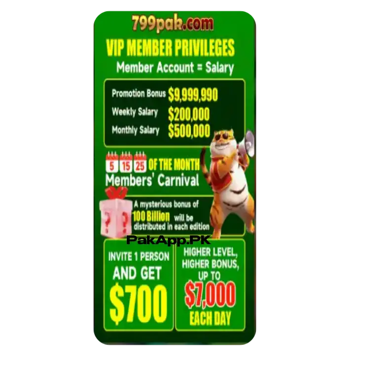 799Pak Game Promotion