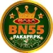 Bn55 Game